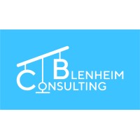 Blenheim BPO Consulting logo - Similar company to Investment Solutions Group, Llc