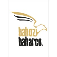 BahoziBahar Company logo - Similar company to Andritz Kmpt Gmbh