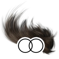 OOPET logo - Similar company to Vetalyst