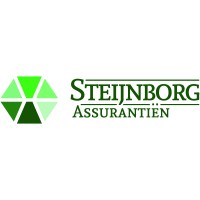 Steijnborg Assurantiën B.V. logo - Similar company to Ndb Groep