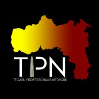 Tegaru Professionals Network logo - Similar company to Dataleeq, Llc