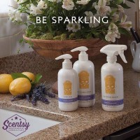 Shannon Independant Scentsy Consultant logo - Similar company to Tailorford