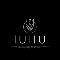 Lullu logo - Similar company to Aviomatics