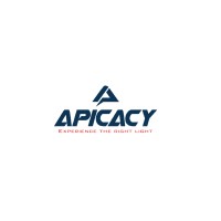 Apicacy Pvt. Ltd. logo - Similar company to Klsm Technologies