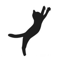 Jump Cats Studio logo - Similar company to Filmo Vfx