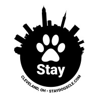 Stay Dog Daycare And Boarding