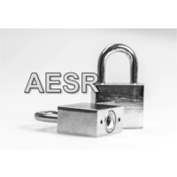 AESR logo - Similar company to Deluxe Properties