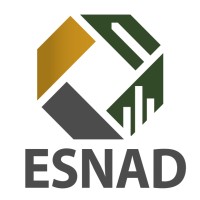 Esnad advisory logo - Similar company to Esnad Tech | إسناد التقنية
