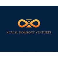 Neacsu Horizont Ventures logo - Similar company to Act Property