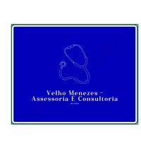 Velho Menezes Assessoria e Consultoria logo - Similar company to Rh Protagonista