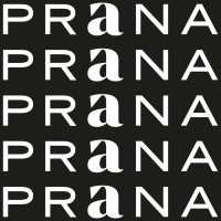 Prana S.A. logo - Similar company to Wild Fi