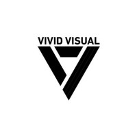 Vivid Visual logo - Similar company to Soft School