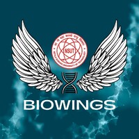 BioWings NSUT logo - Similar company to Biosoc-Dtu