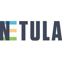 Netula logo - Similar company to Stratus Cyber