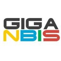 NBI Systems Ltd. logo - Similar company to Archiskills