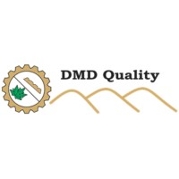 DMD Quality Group logo - Similar company to Dsyde