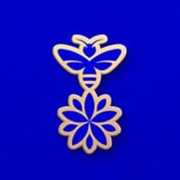 Steve Edge Design Ltd logo - Similar company to Darwins Of Shrewsbury
