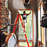 The Tint Guys logo - Similar company to Window Revision