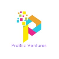 ProBiiz Ventures Pvt Ltd logo - Similar company to Intelytics