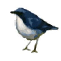 Cdyweb - Kingston Ontario