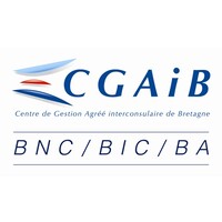 CGAiB logo - Similar company to Cgai