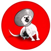 Lost Dog Design logo - Similar company to Digi Editor