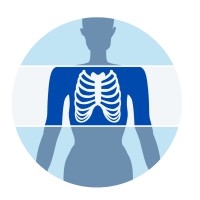 The X-Ray Academy Of Texas logo - Similar company to Myrx365