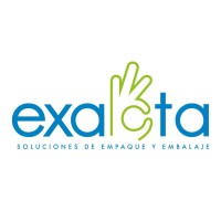 Exacta Soluciones logo - Similar company to Perfacta Project- En Interim Management