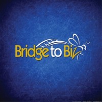 Bridgetobiz.Com
