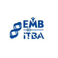 EMBs ITBA logo - Similar company to Conexión Itba