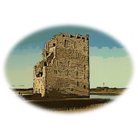 Carrigafoyle Advisory Ltd. logo - Similar company to Lislaughtin Inversiones S.L