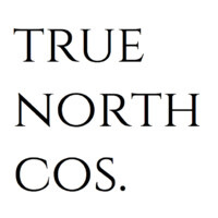True North Cos. logo - Similar company to Digisure