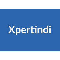Xpertindi logo - Similar company to Designer