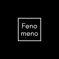 Fenomeno logo - Similar company to Fenomenus