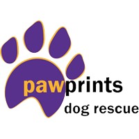 Pawprints Dog Rescue Rugby logo - Similar company to Stabil Equipment Uk
