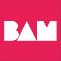 BAM Creative logo - Similar company to Lab 385