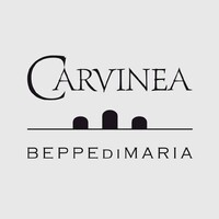 Carvinea logo - Similar company to Sipbar