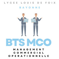 BTS MCO - Lycée Louis de Foix - Bayonne logo - Similar company to Evocime