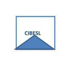 CIB ENGINEERING SERVICES LIMITED logo - Similar company to Image Civil Engineering Ltd