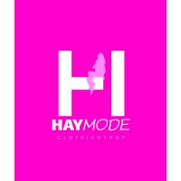 Haymode logo - Similar company to Neuronvise
