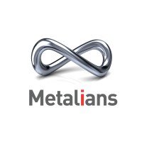 Metalians (SFAM - CFT - MDP - AVN) logo - Similar company to Mecasoka