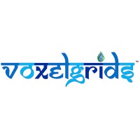 Voxelgrids Innovations Pvt Ltd logo - Similar company to Intessence Solutions Pvt. Ltd.