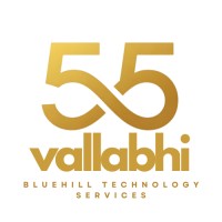 Bluehill Technology Services logo - Similar company to Infosky Technologies