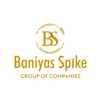 Baniyas Spike Group of Companies logo - Similar company to Dozar Technical Solutions