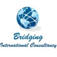 Bridging - International Consultancy logo - Similar company to Instituto Codex Ricinus