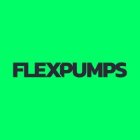Flexpumps logo - Similar company to Flexbuis