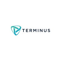 Terminus Solutions logo - Similar company to Ashire Technologies