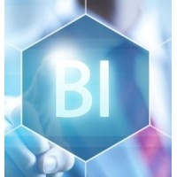 Business Intelligence logo - Similar company to Intelligence Hub