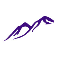 Purple Mountain Partners Investment Group logo - Similar company to Williams Venture Studio