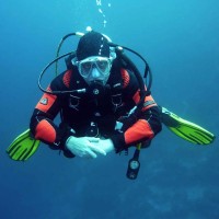Scuba Diving Lover logo - Similar company to Peresedov.Team